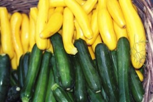 summer squash