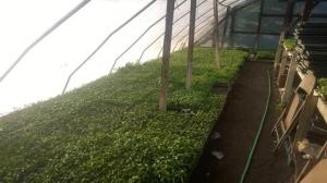 10386284_630940453656718_2534261573411241227_n