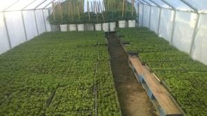 10390321_630940386990058_3924357354484203182_n